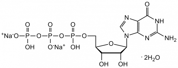 Guanosine 5&#039;-triphosphate sodium salt hydrate