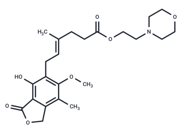 Mycophenolate Mofetil