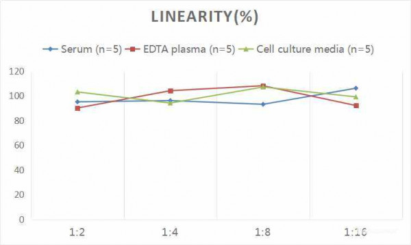 Rat RBP4 (Retinol Binding Protein 4, Plasma) CLIA Kit