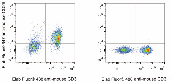 Anti-Mouse CD28 (AF647 Conjugated)[37.51], clone 37.51