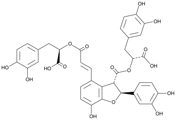 Salvianolic Acid B