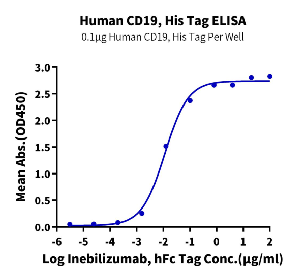 Human CD19 Protein