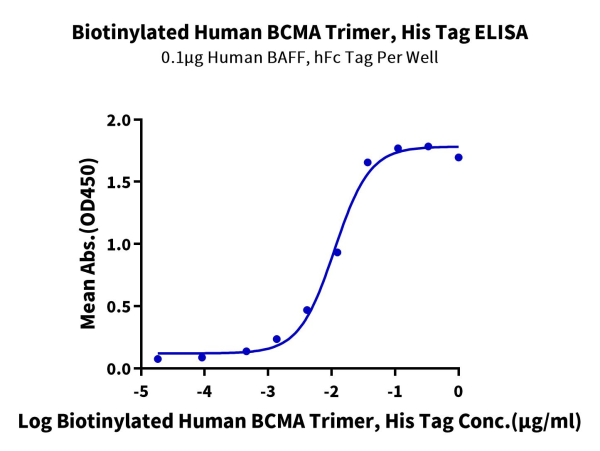 Biotinylated Human BCMA/TNFRSF17 Trimer Protein