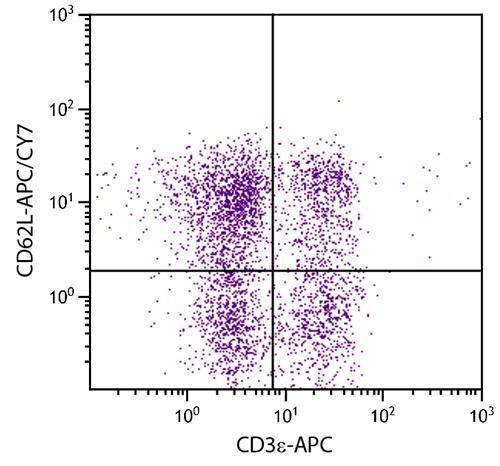 Anti-CD62L (APC/Cy7), clone MEL-14