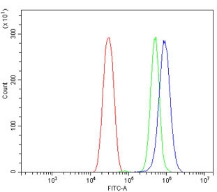 Anti-BCMA / Cd269 / Tnfrsf17