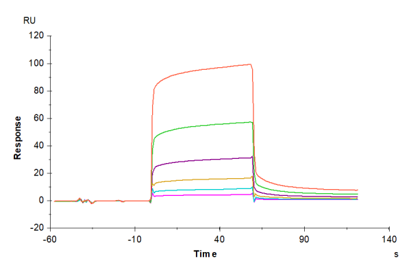 Human CEACAM-6/CD66c Protein