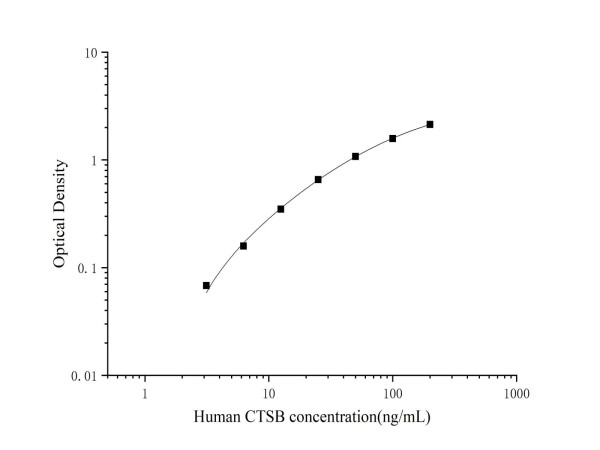 Anti-Cathepsin B (Capture/Detector)