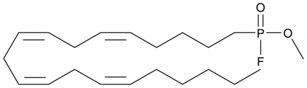 Methyl Arachidonyl Fluorophosphonate