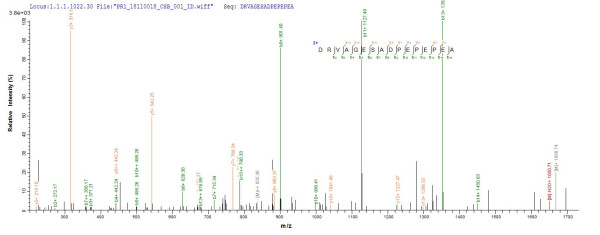 Transforming growth factor beta-1 proprotein (Tgfb1), partial, rat, recombinant