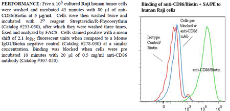 Anti-CD86 (human), clone BU63, Biotin conjugated