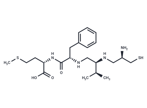 B 581