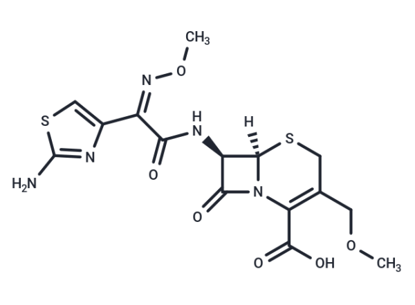 Cefpodoxime (free acid)