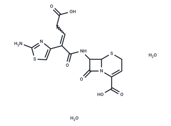 Ceftibuten dihydrate