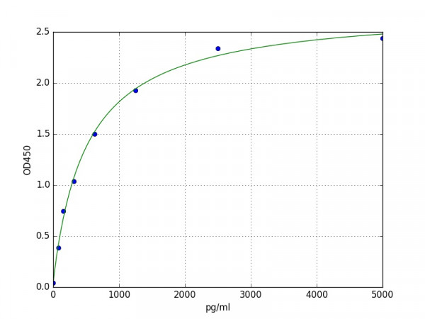 Human Dihydrofolate Reductase / DHFR ELISA Kit