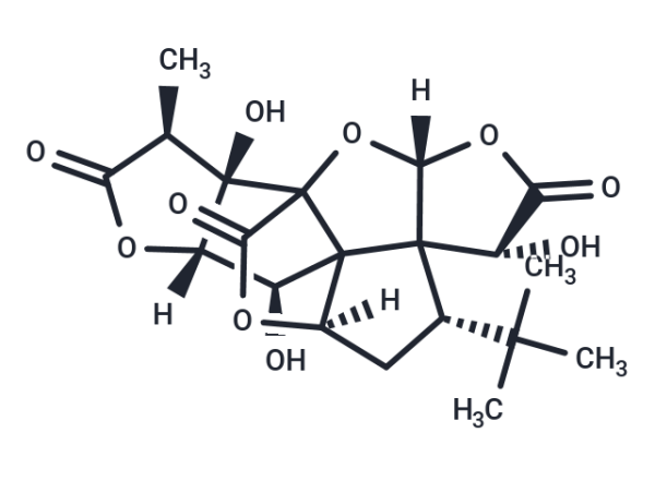 Ginkgolide B