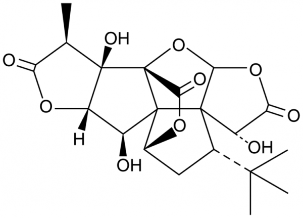 Ginkgolide B