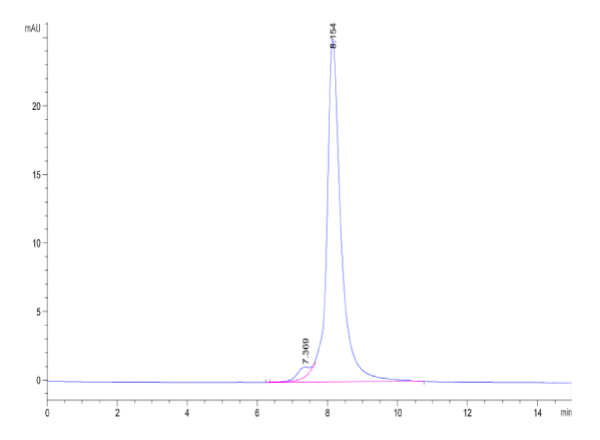 Human CD36/SR-B3 Protein