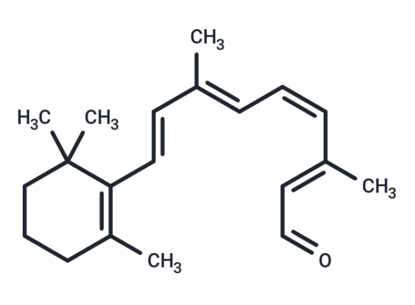 11-cis Retinal