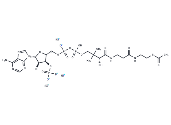 Acetyl Coenzyme A trisodium