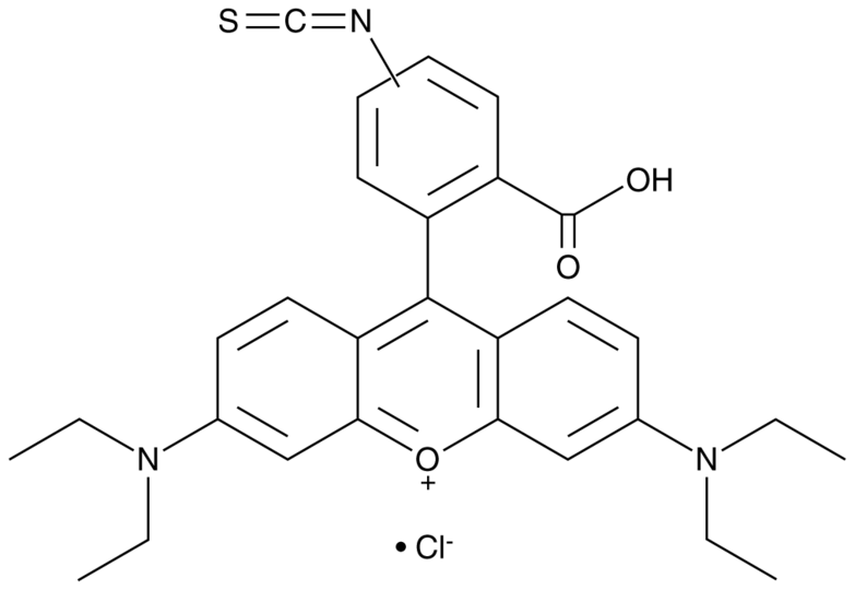 Rhodamine B Isothiocyanate (mixed Isomers) | CAS 944130-99-8 | Cayman ...