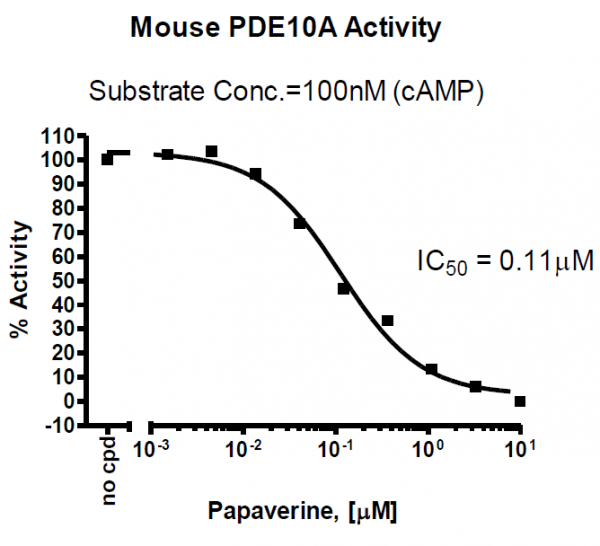 PDE10A Assay Kit (Mouse)