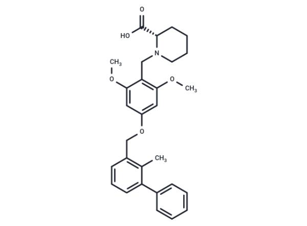 BMS-1