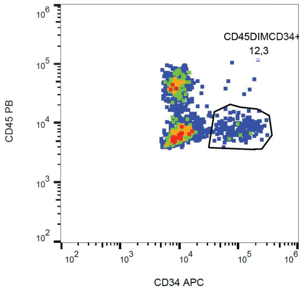 Anti-CD34 (APC), clone 581