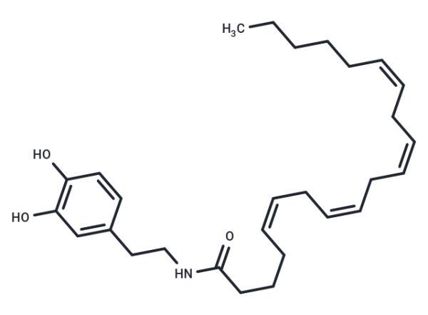 N-Arachidonyldopamine