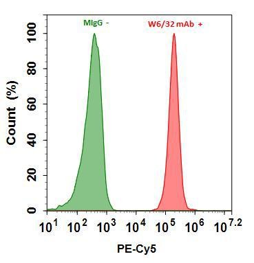 Buccutite(TM) Rapid Protein Crosslinking Kit *Microscale Optimized for Crosslinking 100 ug Antibody
