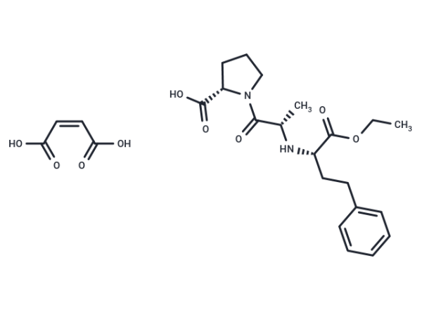 Enalapril Maleate