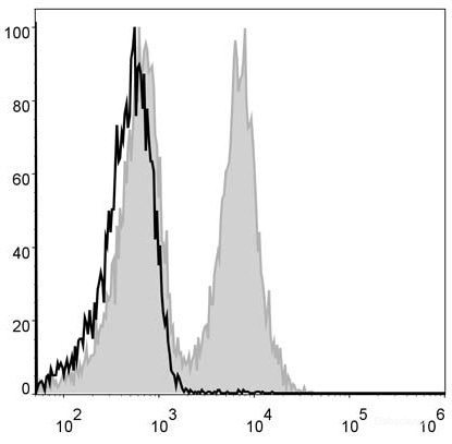 Anti-Mouse CD19 (FITC Conjugated)[1D3], clone 1D3