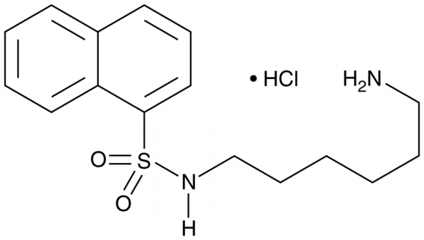 W-5 (hydrochloride)