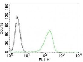 Anti-Transferrin Receptor, clone 66IG10