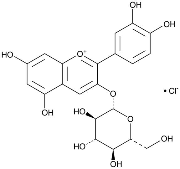 Cyanidin 3-O-glucoside (chloride) | CAS 7084-24-4 | Cayman Chemical ...