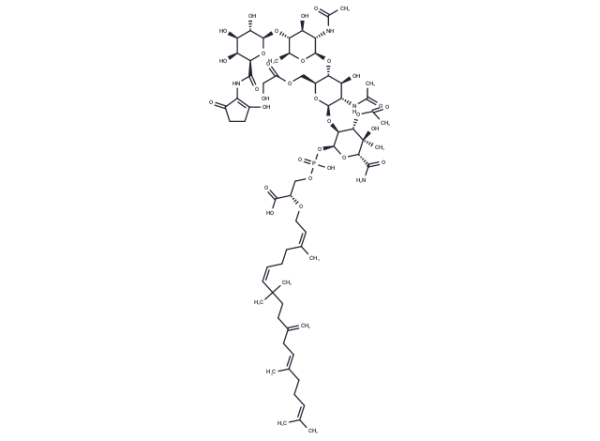 Moenomycin Complex