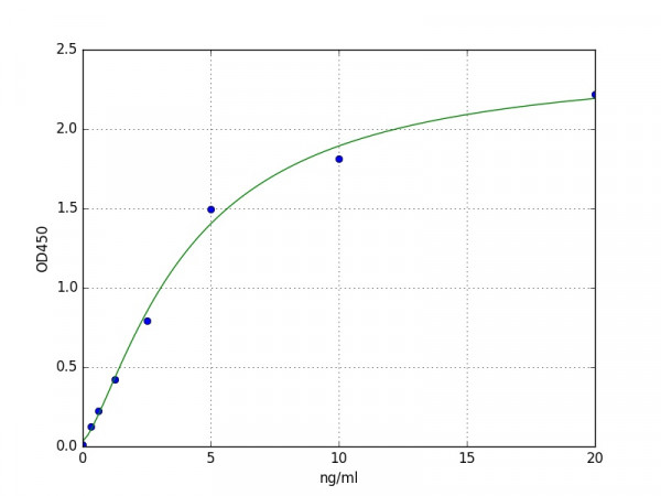 Human Bactericidal permeability-increasing protein / BPI ELISA Kit