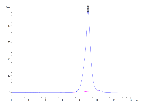 Human CD28H/IGPR-1 Protein