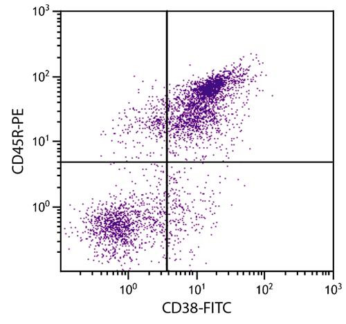 Anti-CD38 (FITC), clone NIMR-5