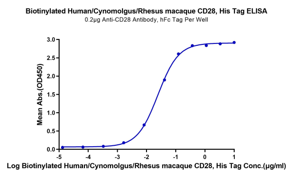 Biotinylated Human/Cynomolgus/Rhesus macaque CD28 Protein