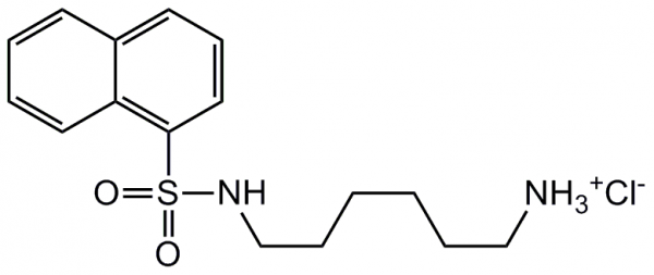 W-5 . hydrochloride
