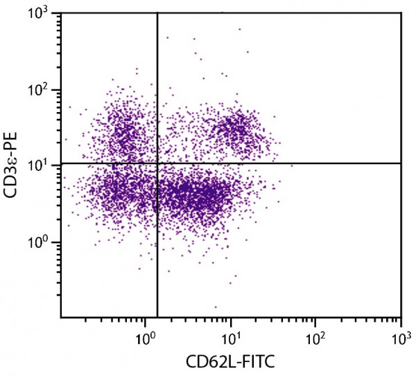 Anti-CD62L, clone MEL-14 (FITC)