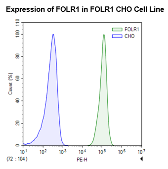 FOLR1 CHO Cell Line