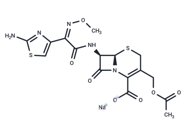 Cefotaxime sodium