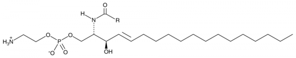 Ceramide Phosphoethanolamine (bovine)