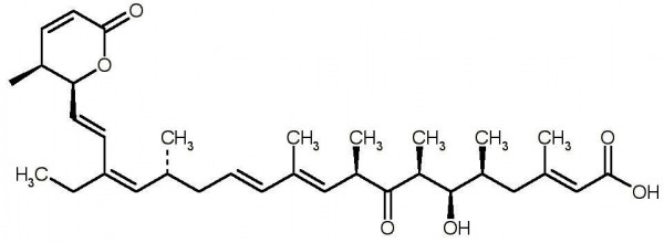 Leptomycin B, Free Acid (Elactocin, Antibiotic ATS 1287B, Antibiotic CI 940, Antibiotic CL 1957A, An