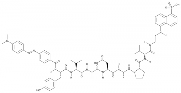 Dabcyl-YVADAPV-EDANS