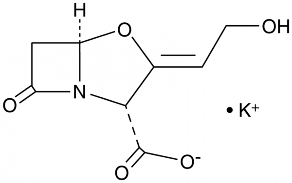 Clavulanate (potassium salt)
