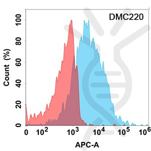 Anti-FCRL5 antibody(DMC220), IgG1 Chimeric mAb