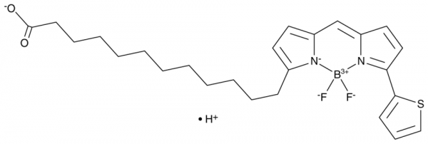 BODIPY 558/568 C12