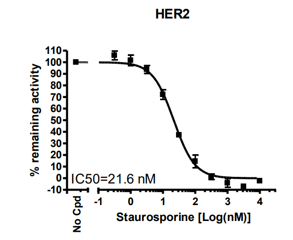 HER2 Kinase Assay Kit